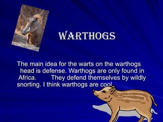 Warthogs The main idea for the warts on the warthogs head is defense. Warthogs are only found in Africa. They defend themselves by wildly snorting. I think warthogs are cool. 