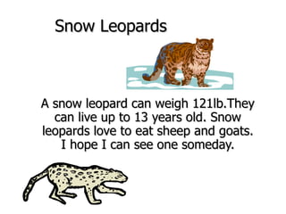 Snow Leopards A snow leopard can weigh 121lb.They can live up to 13 years old. Snow leopards love to eat sheep and goats. I hope I can see one someday. 
