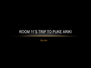 By Liam
ROOM 11’S TRIP TO PUKE ARIKI
 
