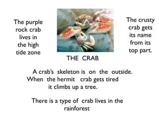 The purple                                   The crusty
rock crab                                     crab gets
   lives in                                   its name
  the high                                     from its
 tide zone                                    top part.
                   THE CRAB

     A crab’s skeleton is on the outside.
    When the hermit crab gets tired
          it climbs up a tree.

      There is a type of crab lives in the
                   rainforest
 