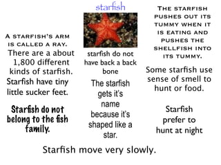 starﬁsh           The starﬁsh
                                          pushes out its
                                          tummy when it
                                           is eating and
A starﬁsh’s arm
                                            pushes the
is called a ray.
                                          shellﬁsh into
 There are a about     starﬁsh do not        its tummy.
  1,800 different     have back a back
 kinds of starﬁsh.          bone         Some starﬁsh use
Starﬁsh have tiny                        sense of smell to
                        The starfish
                                           hunt or food.
little sucker feet.       gets it’s
                           name
 Starﬁsh do not                              Starﬁsh
                        because it’s
belong to the ﬁsh                           prefer to
     family.           shaped like a
                                           hunt at night
                            star.
           Starﬁsh move very slowly.
 