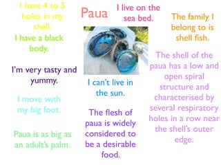 I have 4 to 5                I live on the
   holes in my       Paua         sea bed.     The family I
      shell.                                   belong to is
I have a black                                  shell ﬁsh.
     body.
                                          The shell of the
I’m very tasty and                      paua has a low and
     yummy.                                 open spiral
                      I can’t live in      structure and
                         the sun.        characterised by
 I move with
 my big foot.                           several respiratory
                      The ﬂesh of
                                        holes in a row near
                     paua is widely
                                         the shell’s outer
Paua is as big as    considered to
                                               edge.
an adult’s palm.     be a desirable
                         food.
 