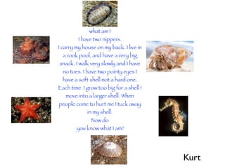 what am I
         I have two nippers.
I carry my house on my back. I live in
  a rook pool, and have a very big
snack. I walk very slowly and I have
  no toes. I have two pointy eyes I
  have a soft shell not a hard one.
Each time I grow too big for a shell I
   move into a larger shell. When
people come to hurt me I tuck away
             in my shell.
               Now do
        you know what I am?




                                         Kurt
 