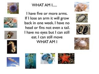 WHAT AM I.....

  I have ﬁve or more arms.
 If I lose an arm it will grow
back in one week. I have no
 head or ﬁns not even a tail.
I have no eyes but I can still
       eat. I can still move
          WHAT AM I
 