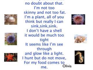 I’m slimy and delicate
   no doubt about that.
         I’m not too
 skinny and not too fat.
  I’m a plant, all of you
   think but really I can
       sink,sink,sink.
    I don’t have a shell
  it would be much too
             tight
   It seems like I’m see
           through
   and glow like a light.
I hunt but do not move,
  For my food comes to
              me.        Olivia
 
