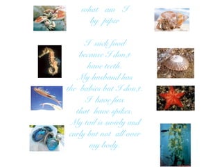 what am I
      by piper

      I suck food
    because I don;t
       have teeth.
   My husband has
the babies but I don;t.
      I have fins
   that have spikes.
 My tail is swirly and
 curly but not all over
        my body.
 
