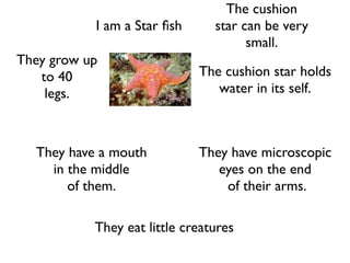 The cushion
           I am a Star ﬁsh      star can be very
                                      small.
They grow up
   to 40                     The cushion star holds
    legs.                       water in its self.



  They have a mouth          They have microscopic
    in the middle               eyes on the end
       of them.                  of their arms.

           They eat little creatures
 