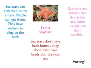 Sea stars can
                                         Sea stars are
also hold on to
                                         animals that
 a rock. People
                                          live in the
 can get them.
                                          sea, some
    They have
                        I am a            people call
   suckers to
                       Starﬁsh!              them
   cling to the
                                           starﬁsh .
       rock
                  Sea stars don’t have
                   back bones / they
                    don’t even have
                  heads but they can
                          eat
                                            Aorangi
 