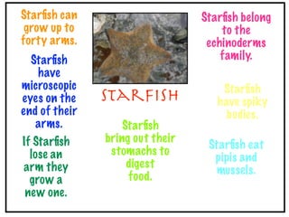 Starﬁsh can                      Starﬁsh belong
 grow up to                          to the
forty arms.                       echinoderms
  Starﬁsh                            family.
   have
microscopic                          Starﬁsh
eyes on the    Starﬁsh              have spiky
end of their                          bodies.
   arms.           Starﬁsh
If Starﬁsh     bring out their
                                  Starﬁsh eat
  lose an       stomachs to
                                   pipis and
arm they            digest
                                    mussels.
  grow a            food.
 new one.
 