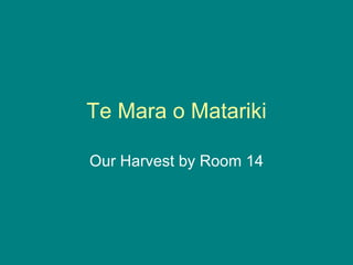 Te Mara o Matariki Our Harvest by Room 14 