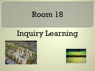 Room 18

Inquiry Learning
 