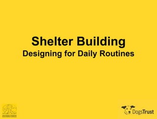 Shelter Building 
Designing for Daily Routines 
 