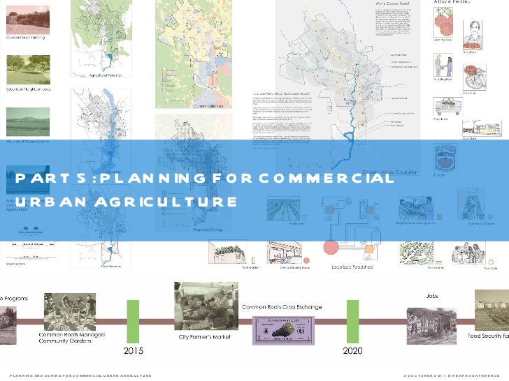 Planning and Zoning for Commercial Urban Agriculture