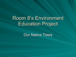 Room 8’s Environment Education Project Our Native Trees 