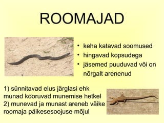 ROOMAJAD
                       • keha katavad soomused
                       • hingavad kopsudega
                       • jäsemed puuduvad või on
                         nõrgalt arenenud

1) sünnitavad elus järglasi ehk
munad kooruvad munemise hetkel
2) munevad ja munast areneb väike
roomaja päikesesoojuse mõjul
 