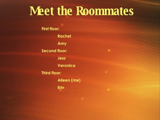 Meet the Roommates First floor: Rachel Amy Second floor: Jess Veronica Third floor: Aileen (me) Erin 
