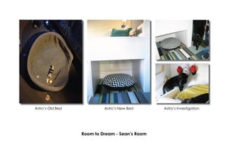 Astro’s New BedAstro’s Old Bed
Room to Dream - Sean’s Room
Astro’s Investigation
 