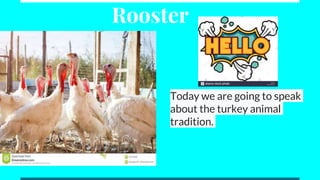 Rooster
Today we are going to speak
about the turkey animal
tradition.
 