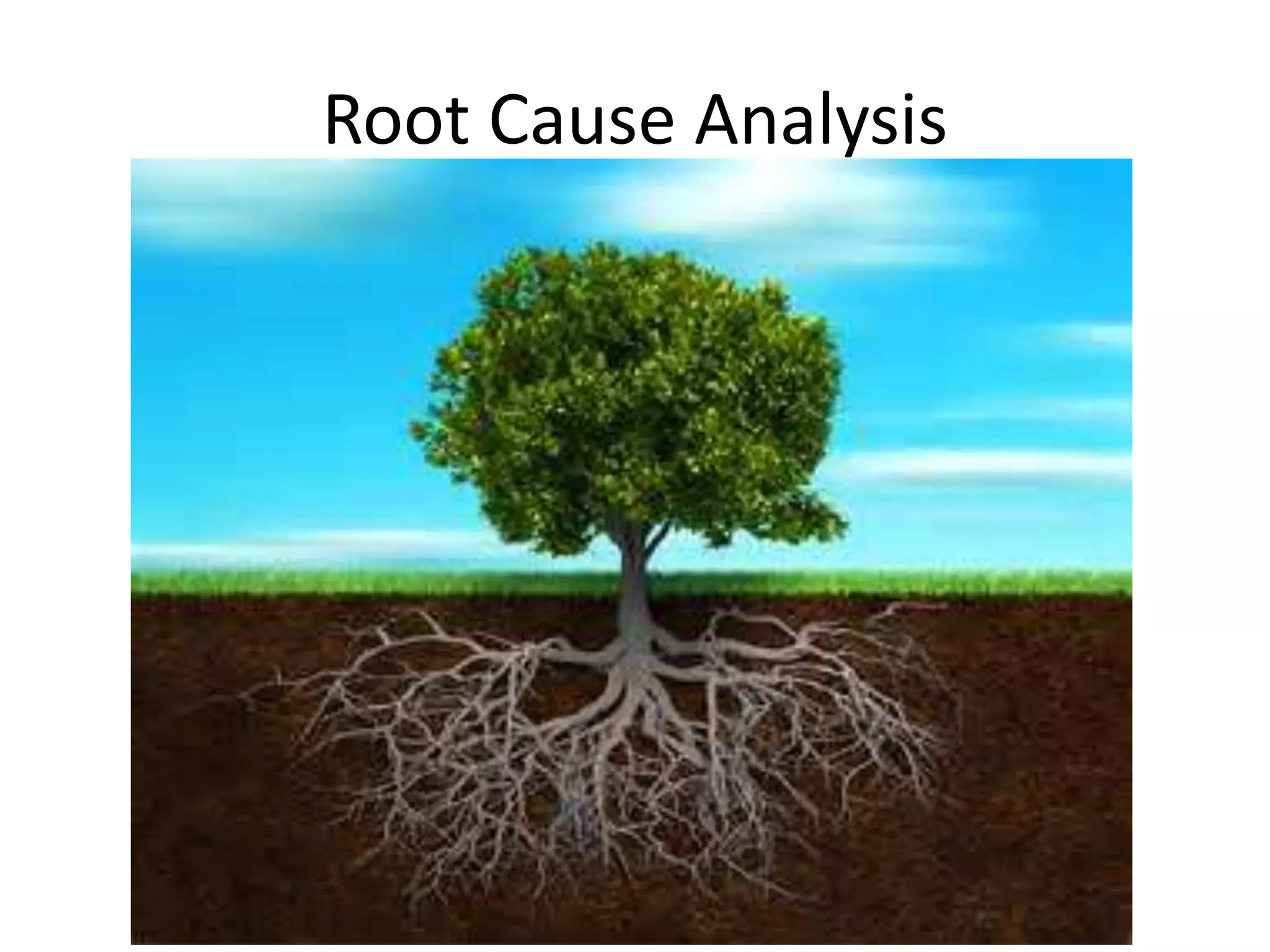 Root Cause Analysis
 