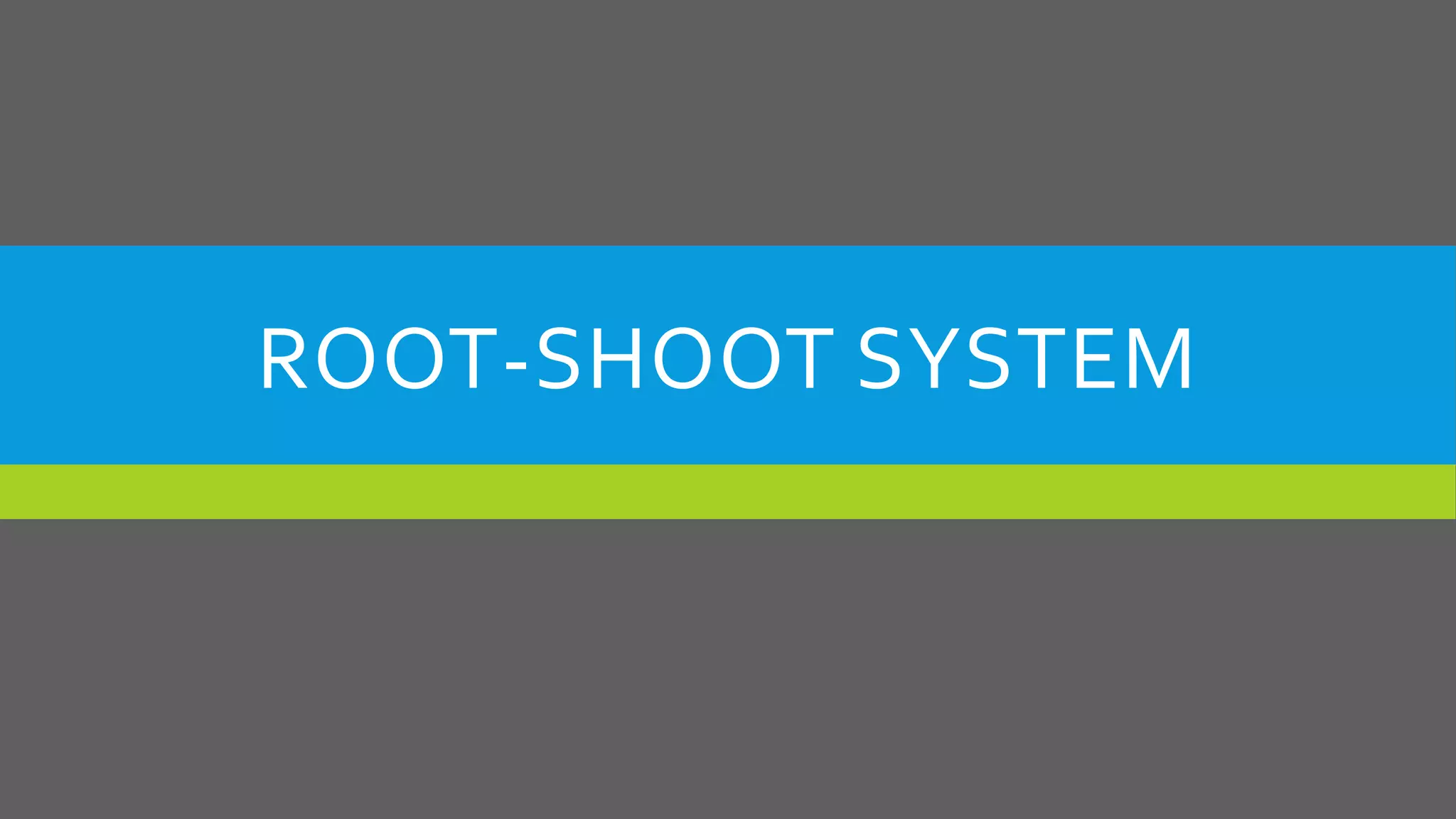ROOT-SHOOT SYSTEM

 