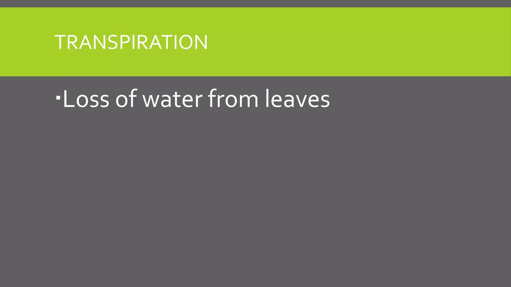 TRANSPIRATION

Loss of water from leaves

 
