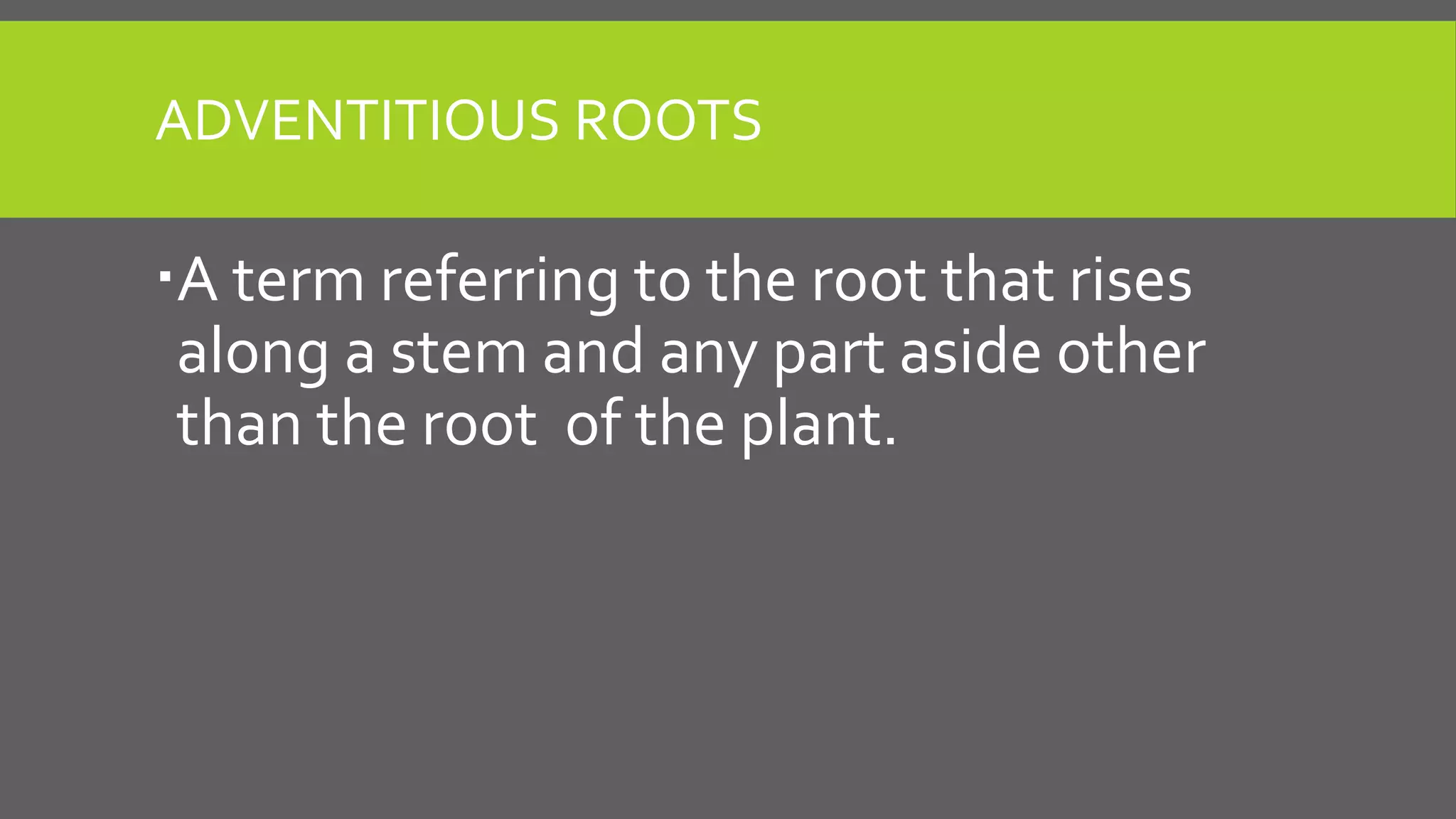 ADVENTITIOUS ROOTS

A term referring to the root that rises
along a stem and any part aside other
than the root of the plant.

 