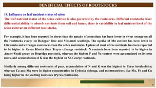 Using Roots Stock Root-Stock and their uses presentation.pptx