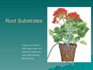 Root Substrates Image source: Reed, D. 1996. Water, Media, and Nutrition for Greenhouse Crops. Ball Publishing. Batavia, Illinois. 