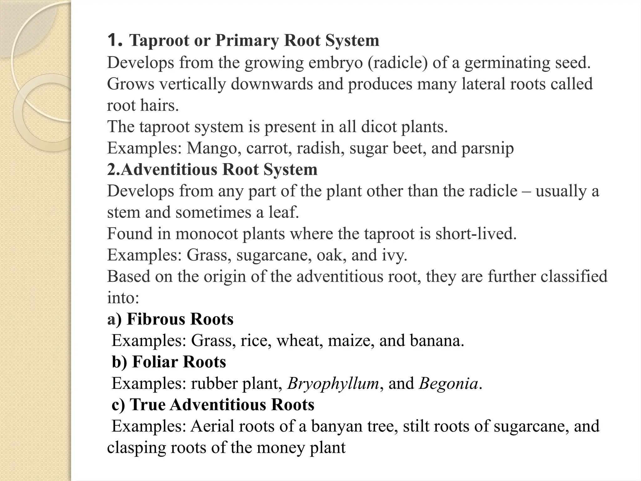 PRESENTATION ON ROOT AND STEM MORPHOLOGY AND MODIFICATION Root1.pptx
