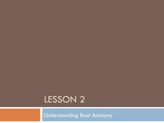 LESSON 2 Understanding Root Anatomy 