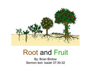 Root and Fruit
By: Brian Birdow
Sermon text: Isaiah 37:30-32
 