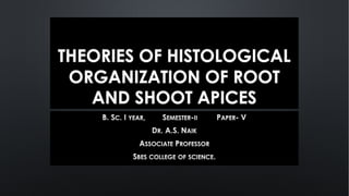 THEORIES OF HISTOLOGICAL
ORGANIZATION OF ROOT
AND SHOOT APICES
 