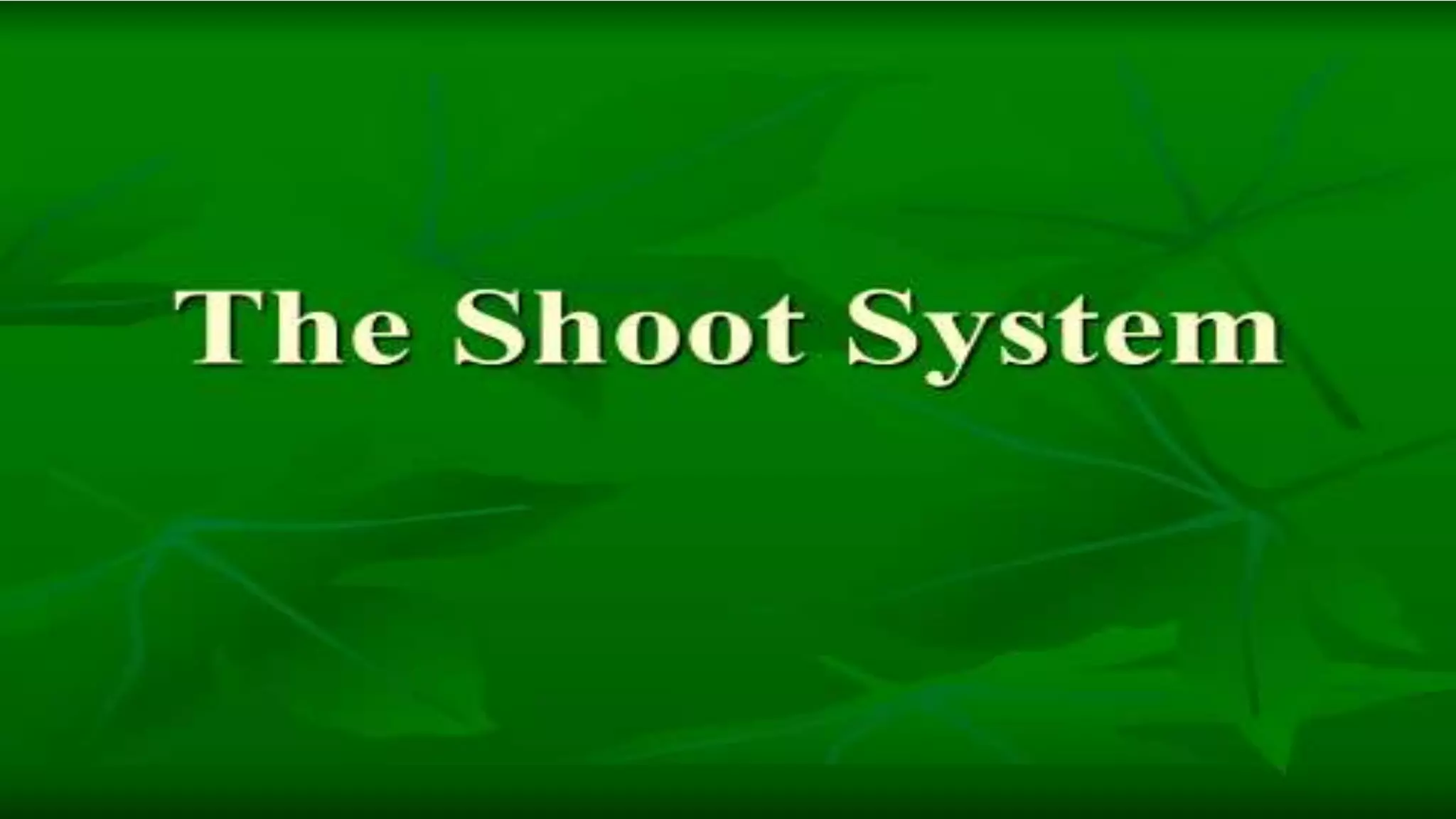 Root and shoot system of Angiosperm plants. - By Dr. Amutha Swaminathan ...