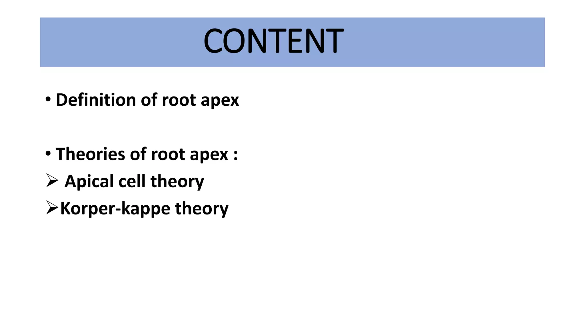 Root apex | PPT