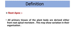 Definition
 Root Apex :-
• All primary tissues of the plant body are derived either
from root apical meristem . This may ...