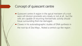 Concept of quiescent centre
 Quiescent centre A region in the apical meristem of a root
were cell division proceeds very slowly or not at all , but the
cells are capable of resuming meristematic activity should
tissue surrounding them be damaged .
 Clowes in his autoradiographic studies of DNA synthesis in
the root tip of Zea Mays , Noted a central cup-like region .
 