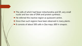  The cells of which had fewer mitochondria and ER ,very small
nuclei and low rate of DNA and protein synthesis .
 He referred this inactive region as quiescent centre .
 Since than such regions have been observed in many plants .
 It consists of about 500 cells in Zea mays, 600 in sinapsis .
 