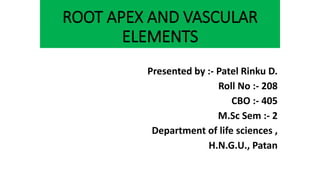 ROOT APEX AND VASCULAR
ELEMENTS
Presented by :- Patel Rinku D.
Roll No :- 208
CBO :- 405
M.Sc Sem :- 2
Department of life sciences ,
H.N.G.U., Patan
 
