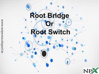 Root Bridge
Or
Root Switch
www.netprotocolxpert.in
 