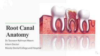 Root Canal
Anatomy
Dr.Tasneem Rahman Meem
Intern Doctor
Mandy DentalCollege and Hospital
1
 