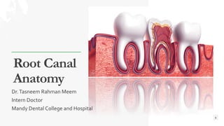 Root Canal
Anatomy
Dr.Tasneem Rahman Meem
Intern Doctor
Mandy Dental College and Hospital
1
 