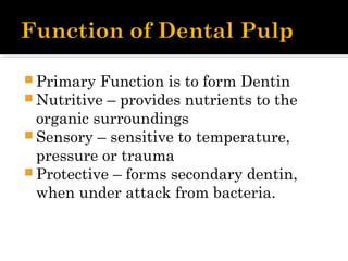  Primary Function is to form Dentin
 Nutritive – provides nutrients to the
organic surroundings
 Sensory – sensitive to temperature,
pressure or trauma
 Protective – forms secondary dentin,
when under attack from bacteria.
 