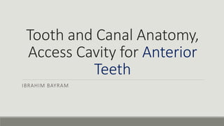 Tooth and Canal Anatomy,
Access Cavity for Anterior
Teeth
IBRAHIM BAYRAM
 