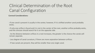 Clinical Determination of the Root
Canal Configuration
Coronal Considerations:
If one canal is present it usually in the center, however, if it is shifted another canal probably
exists.
If only one orifice is found and it is not in the center of the root, another orifice probably exists,
and the clinician should search for it on the opposite side.
 As the distance between orifices in a root increases, the greater is the chance the canals will
remain separate.
 Less degree of canal curvature, if there are more separation between orifices.
 If two canals are present, they will be smaller than one single canal.
 