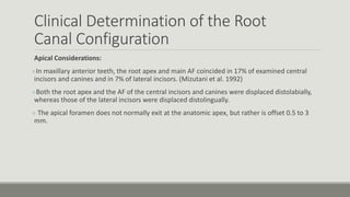 Clinical Determination of the Root
Canal Configuration
Apical Considerations:
In maxillary anterior teeth, the root apex and main AF coincided in 17% of examined central
incisors and canines and in 7% of lateral incisors. (Mizutani et al. 1992)
Both the root apex and the AF of the central incisors and canines were displaced distolabially,
whereas those of the lateral incisors were displaced distolingually.
 The apical foramen does not normally exit at the anatomic apex, but rather is offset 0.5 to 3
mm.
 