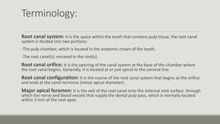 Terminology:
Root canal system: It is the space within the tooth that contains pulp tissue, the root canal
system is divided into two portions:
-The pulp chamber, which is located in the anatomic crown of the tooth.
-The root canal(s): encased in the root(s).
Root canal orifice: It is the opening of the canal system at the base of the chamber where
the root canal begins. Generally, it is located at or just apical to the cervical line.
Root canal configuration: It is the course of the root canal system that begins at the orifice
and ends at the canal terminus (minor apical diameter).
Major apical foramen: It is the exit of the root canal onto the external root surface through
which the nerve and blood vessels that supply the dental pulp pass, which is normally located
within 3 mm of the root apex.
 