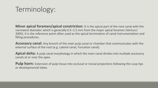 Terminology:
Minor apical foramen/apical constriction: It is the apical part of the root canal with the
narrowest diameter which is generally 0.5–1.5 mm from the major apical foramen (Vertucci
2005). It is the reference point often used as the apical termination of canal instrumentation and
filling procedures.
Accessory canal: Any branch of the main pulp canal or chamber that communicates with the
external surface of the root (e.g. Lateral canal, Furcation canal).
Apical delta: A pulp canal morphology in which the main canal divides into multiple accessory
canals at or near the apex.
Pulp horn: Extension of pulp tissue into occlusal or incisal projections following the cusp tips
or developmental lobes.
 