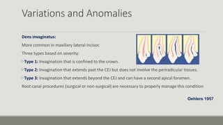 Variations and Anomalies
Dens invaginatus:
More common in maxillary lateral incisor.
Three types based on severity:
Type 1: Invagination that is confined to the crown.
Type 2: Invagination that extends past the CEJ but does not involve the periradicular tissues.
Type 3: Invagination that extends beyond the CEJ and can have a second apical foramen.
Root canal procedures (surgical or non-surgical) are necessary to properly manage this condition
Oehlers 1957
 