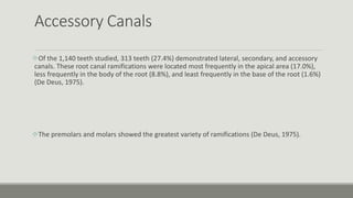 Accessory Canals
Of the 1,140 teeth studied, 313 teeth (27.4%) demonstrated lateral, secondary, and accessory
canals. These root canal ramifications were located most frequently in the apical area (17.0%),
less frequently in the body of the root (8.8%), and least frequently in the base of the root (1.6%)
(De Deus, 1975).
The premolars and molars showed the greatest variety of ramifications (De Deus, 1975).
 