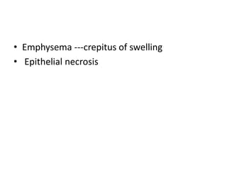 • Emphysema ---crepitus of swelling
• Epithelial necrosis
 